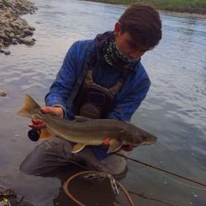 Meet your Posher, Jordan